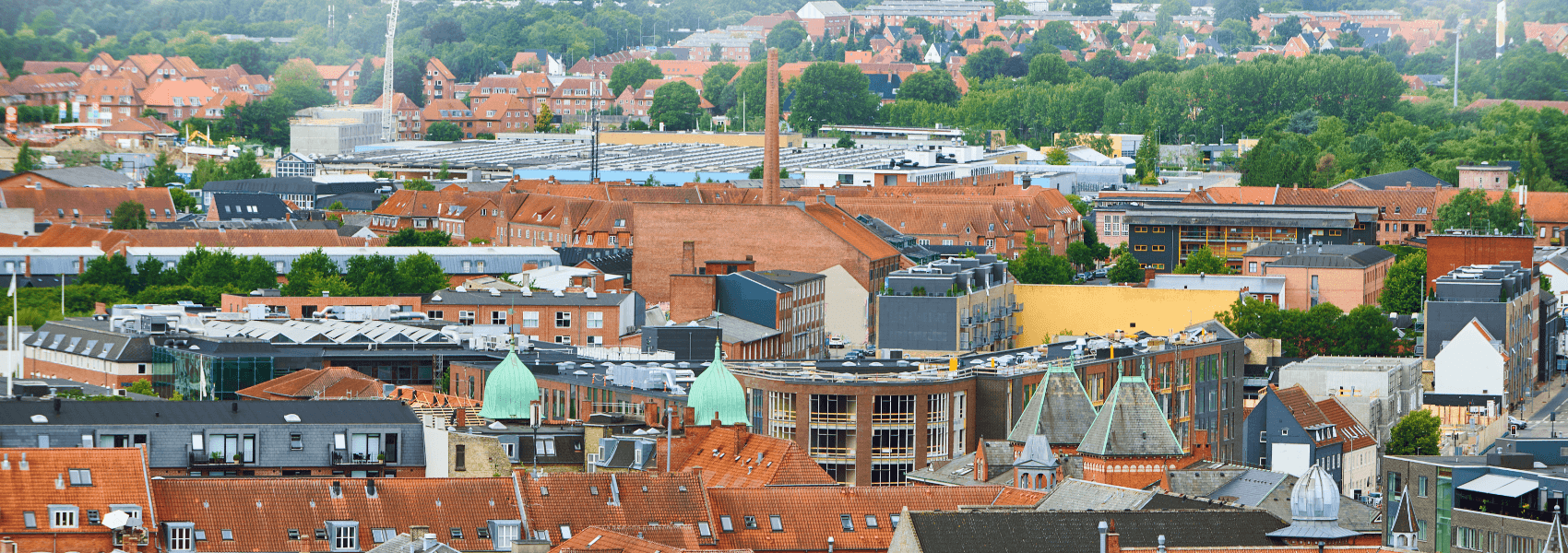 Studerende på SU: Odense