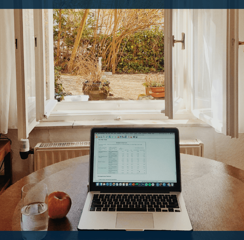 tjen penge hjemmefra